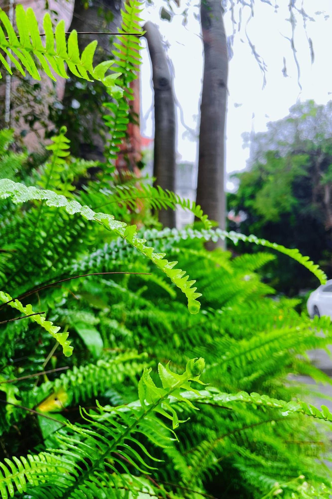 Xiamen Xiang An Yi Hao Hotel Εξωτερικό φωτογραφία