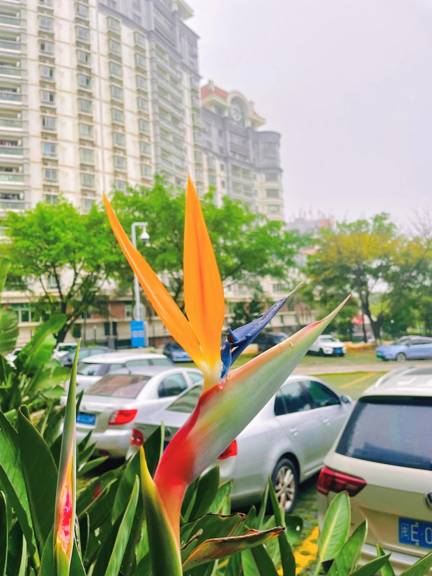 Xiamen Xiang An Yi Hao Hotel Εξωτερικό φωτογραφία