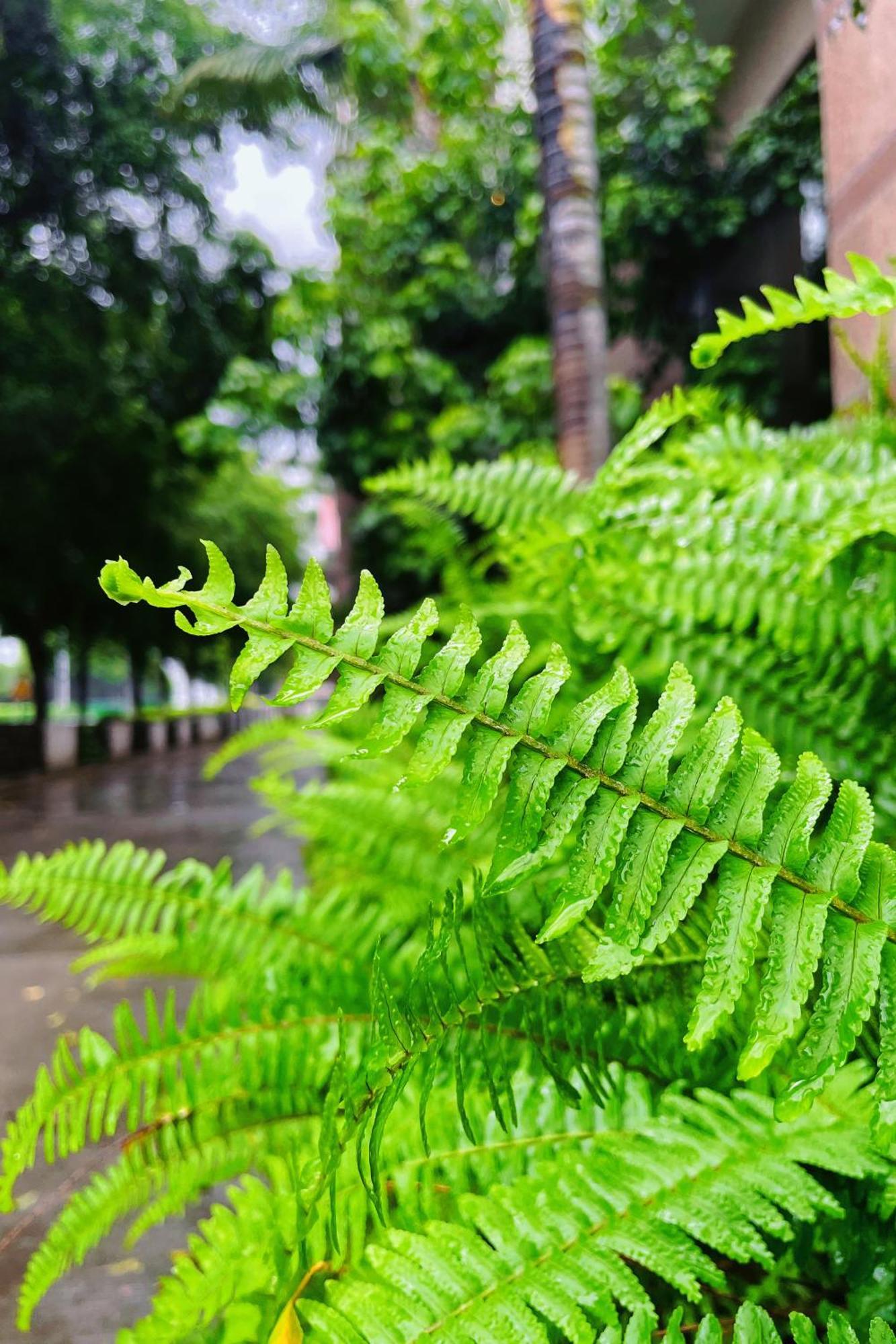 Xiamen Xiang An Yi Hao Hotel Εξωτερικό φωτογραφία